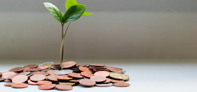 Stacks of coins with a small plant growing from them